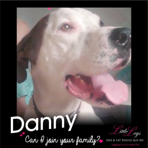 Danny