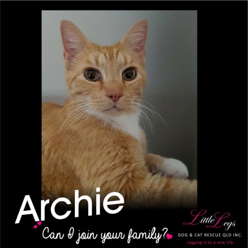 Archie