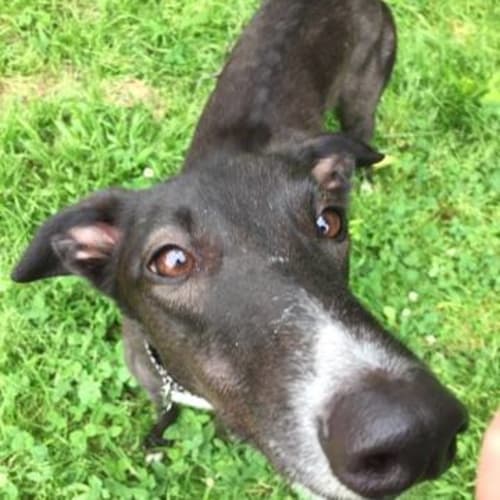 “Lexi” - Fear of Missing Out (fomo). Melbourne