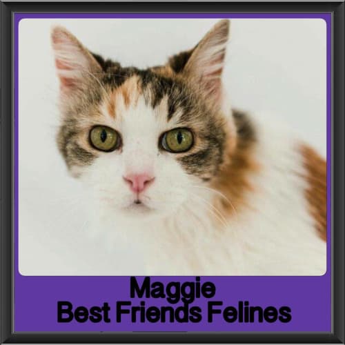 Maggie 