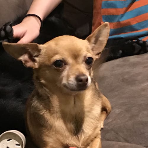 Zoe