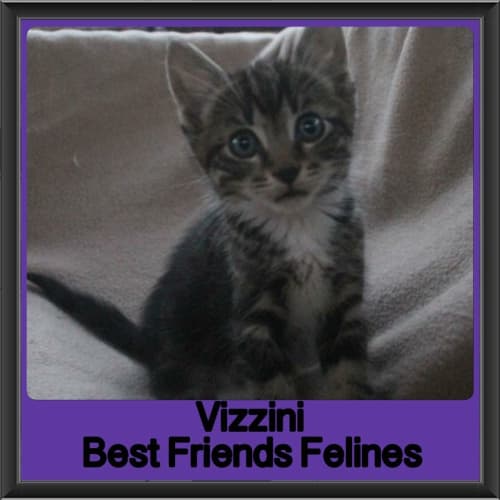 Vizinni