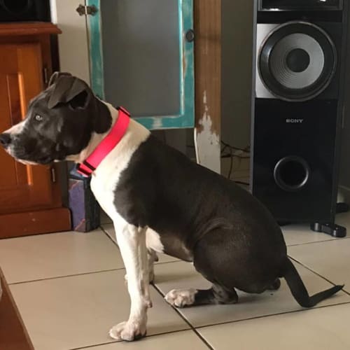 Zoe 