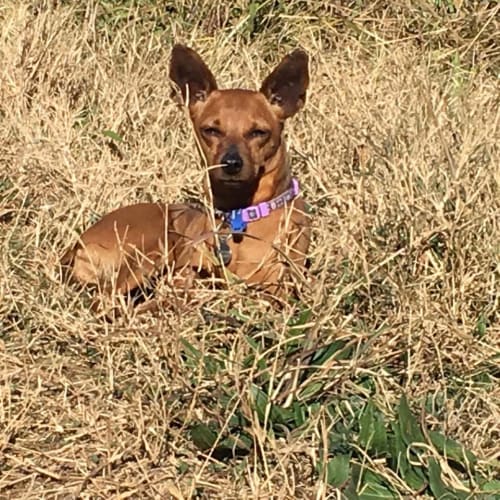 Ellie - The best comes in small packages