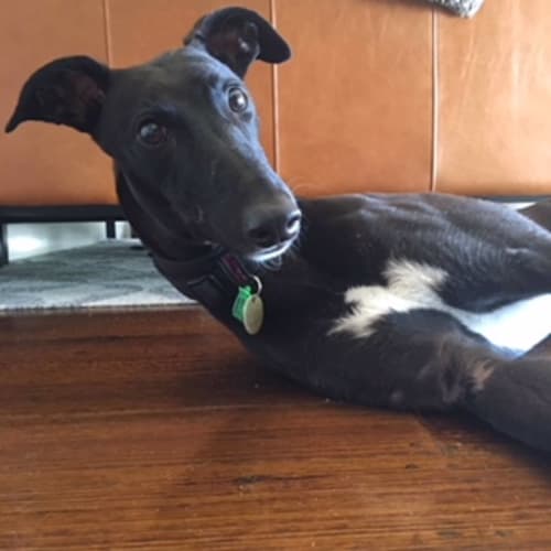 Pass the “Pepper” Please. Melbourne.