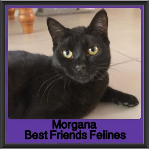 Morgana