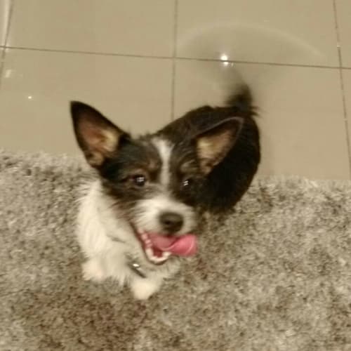 Zita