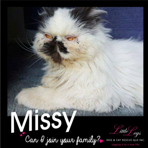Missy