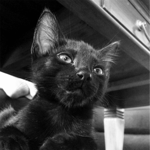 Soot