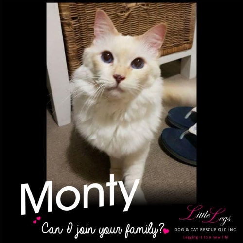 Monty