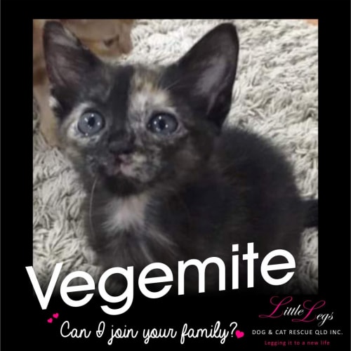 Vegemite