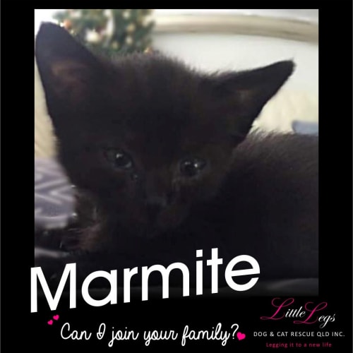 Marmite
