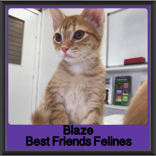 Blaze