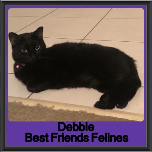 Debbie
