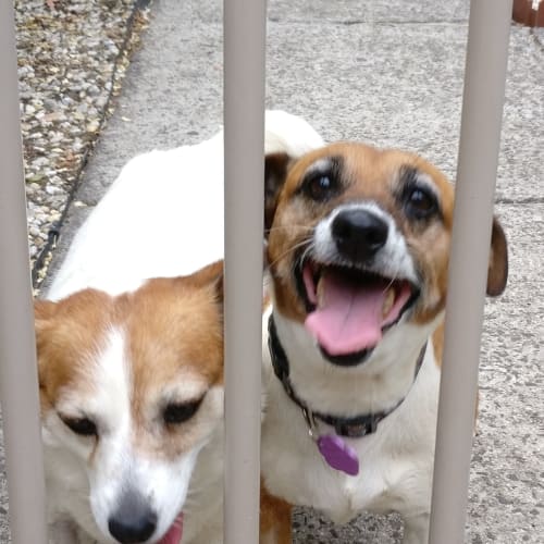 Betty and Wilma