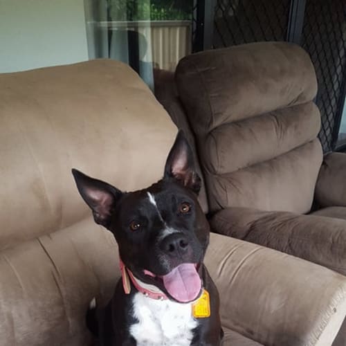 Roxy
