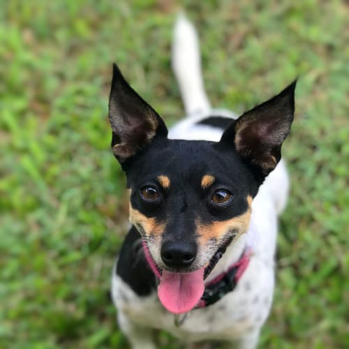 Lucy
