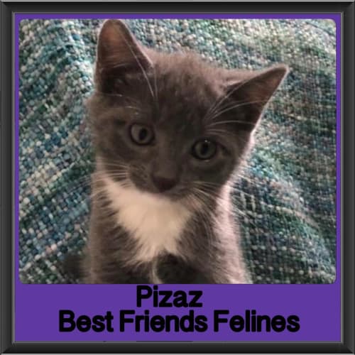 Pizaz