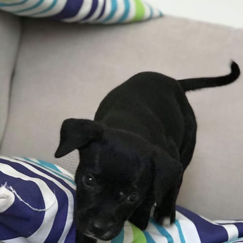 Ellie