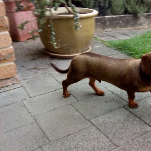 Charlie