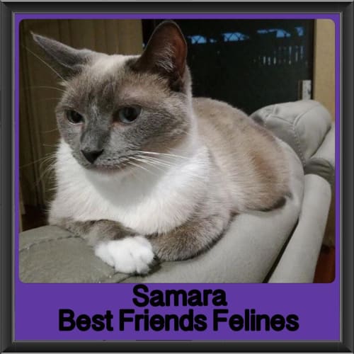 Samara