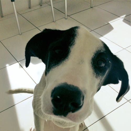 Sam