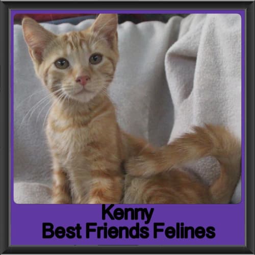 Kenny 