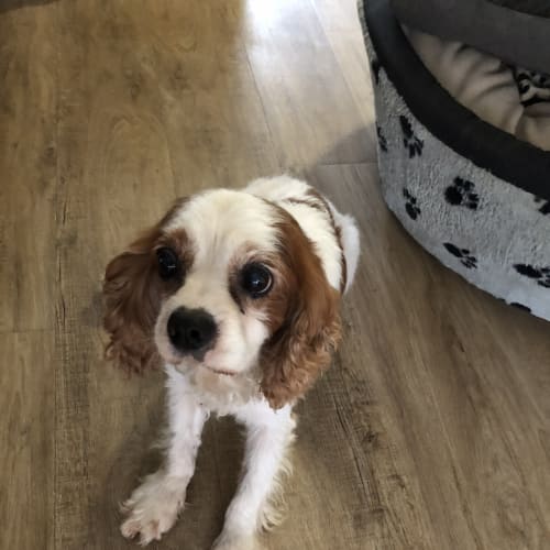Charlie