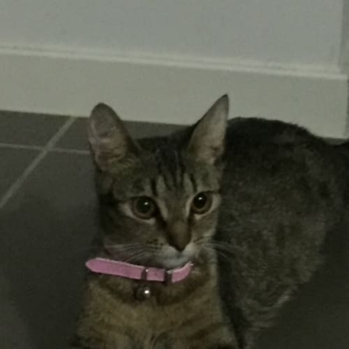 Jean 