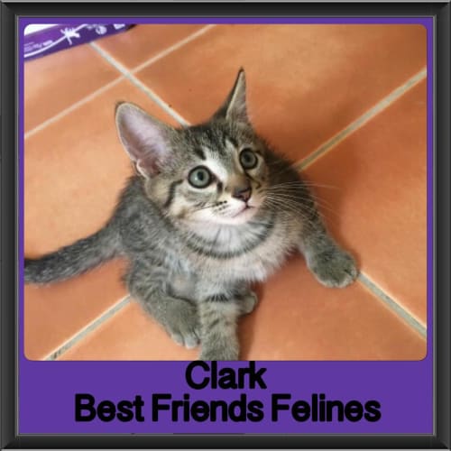 Clark