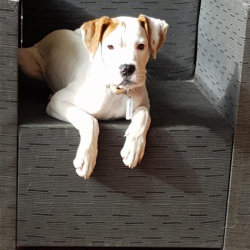 Sophie