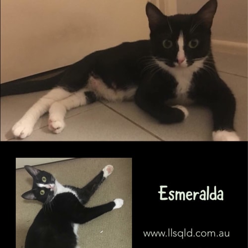 Esmeralda