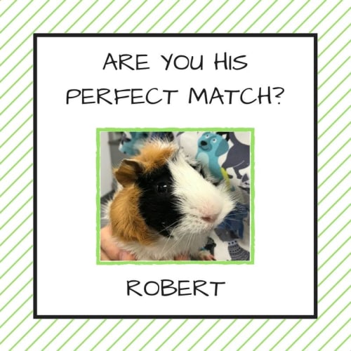 Robert 