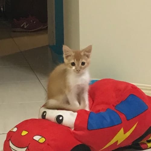 Evita