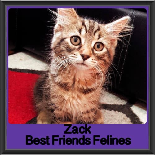 Zack 
