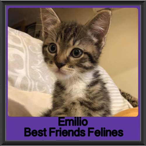 Emilio 