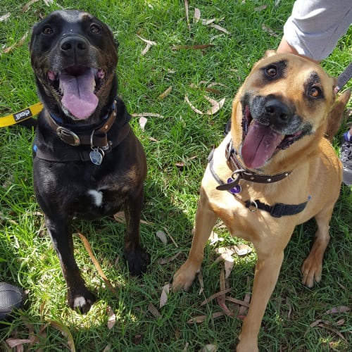 Roly and Stella