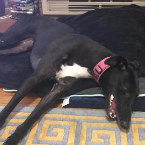 Matilda (Tilly) 