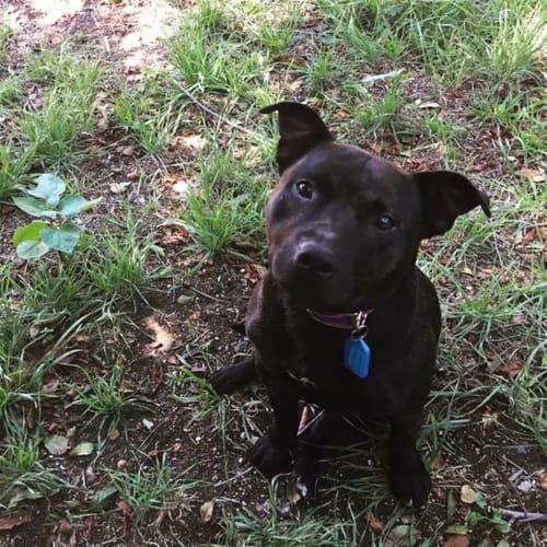 Marley