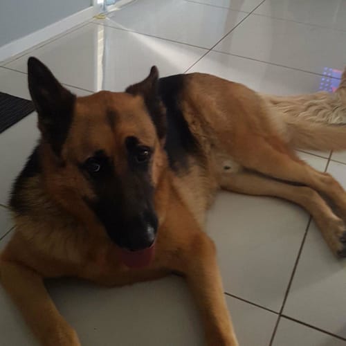 Tyson
