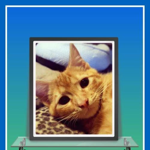 Jerry