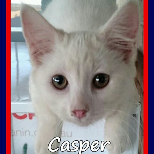 Casper