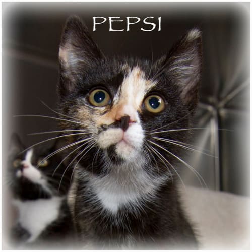 Pepsi