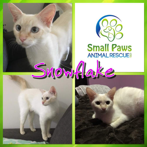 Snowflake