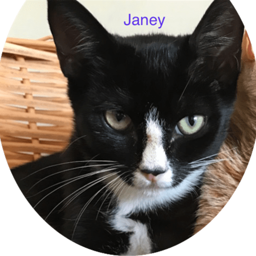Janey