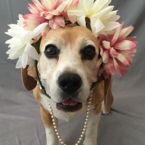 Peggy