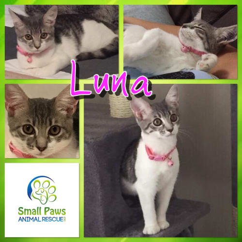 Luna