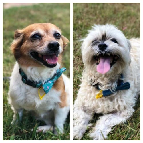 Barney and Charlie
