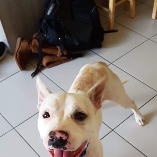 Wally