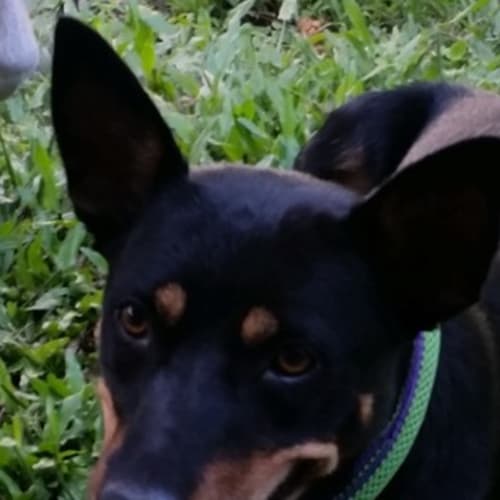 Rita